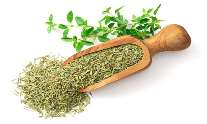 راهنمای کامل درباره خواص آویشن و دمنوش آویشن