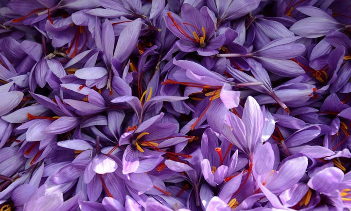 آموزش رنگآمیزی با گلبرگ زعفران در خانه